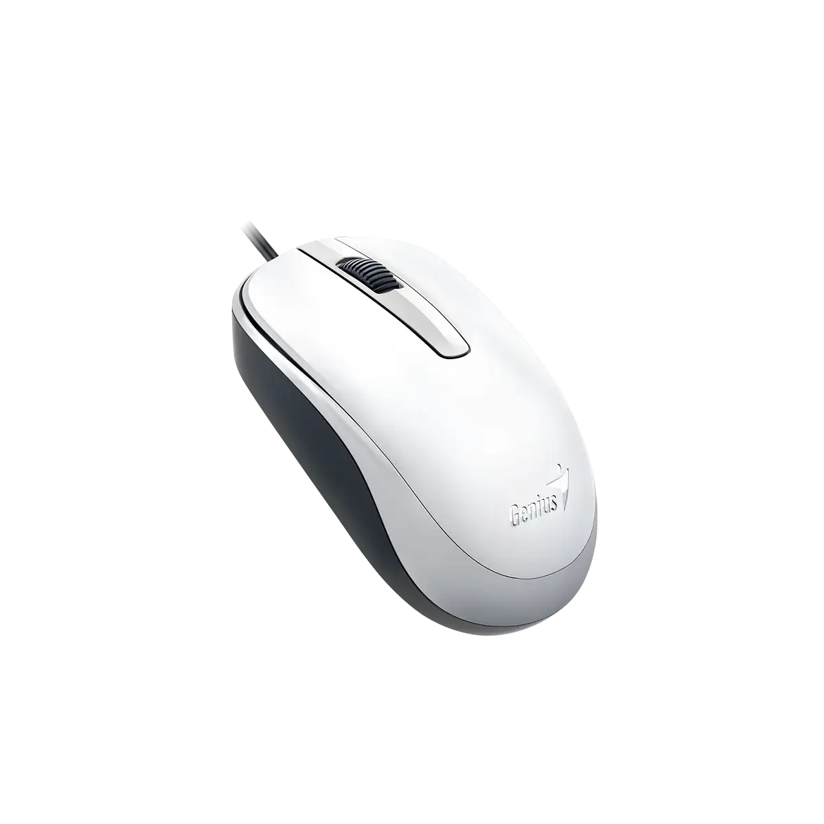 MOUSE GENIUS DX-120 USB WHITE - Image 3