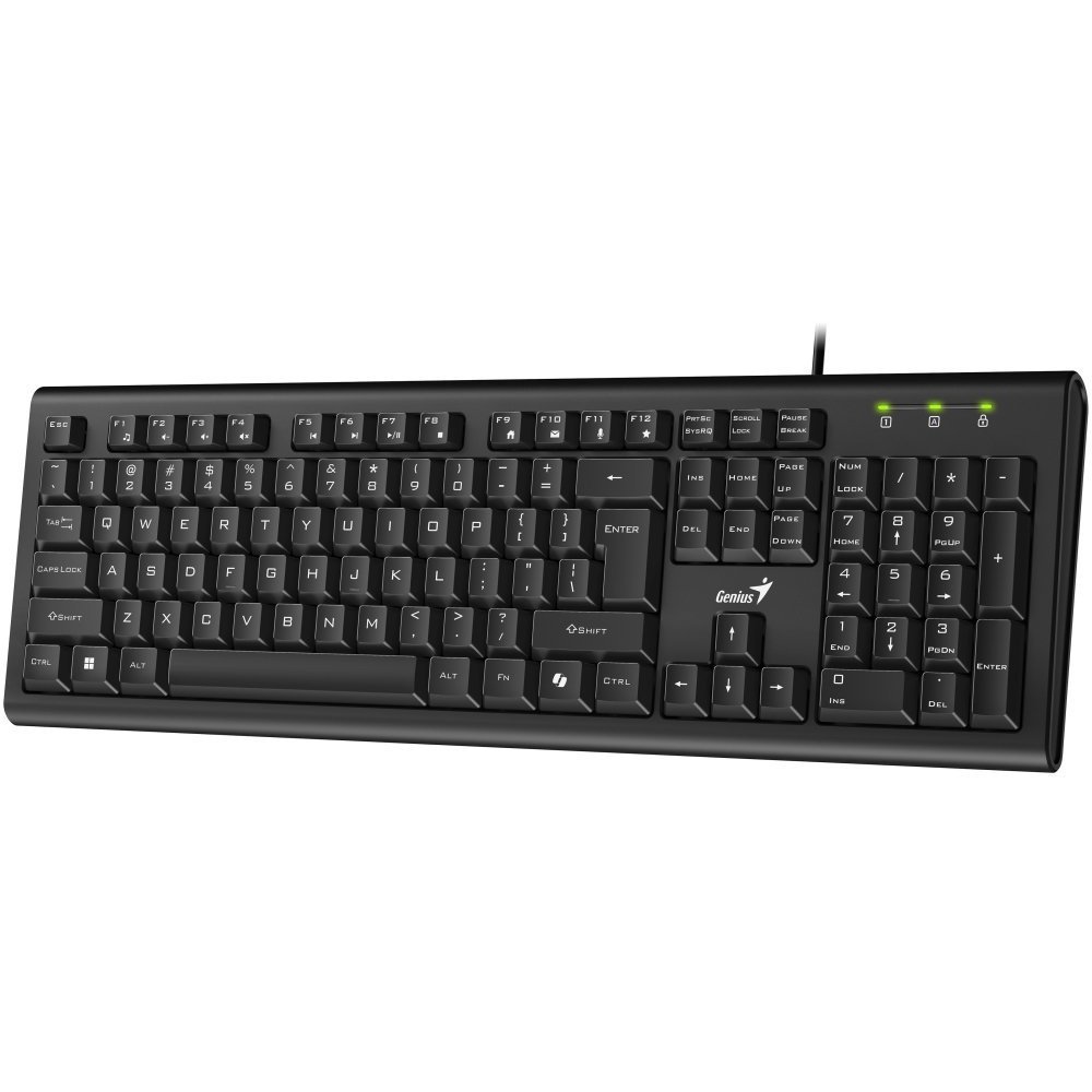 TECLADO GENIUS KB-113 USB BLACK
