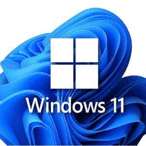 ARMADO E INSTALACION DE WIN 11 + BASICOS ( no inc licencia )